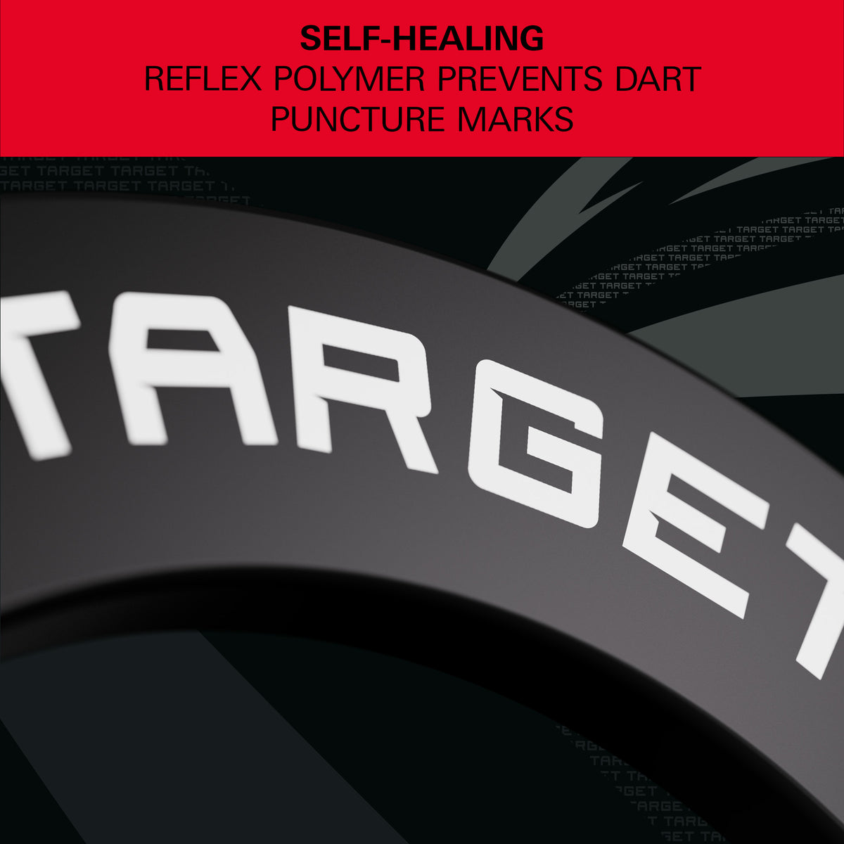 Target Darts Notched Dartboard Surround