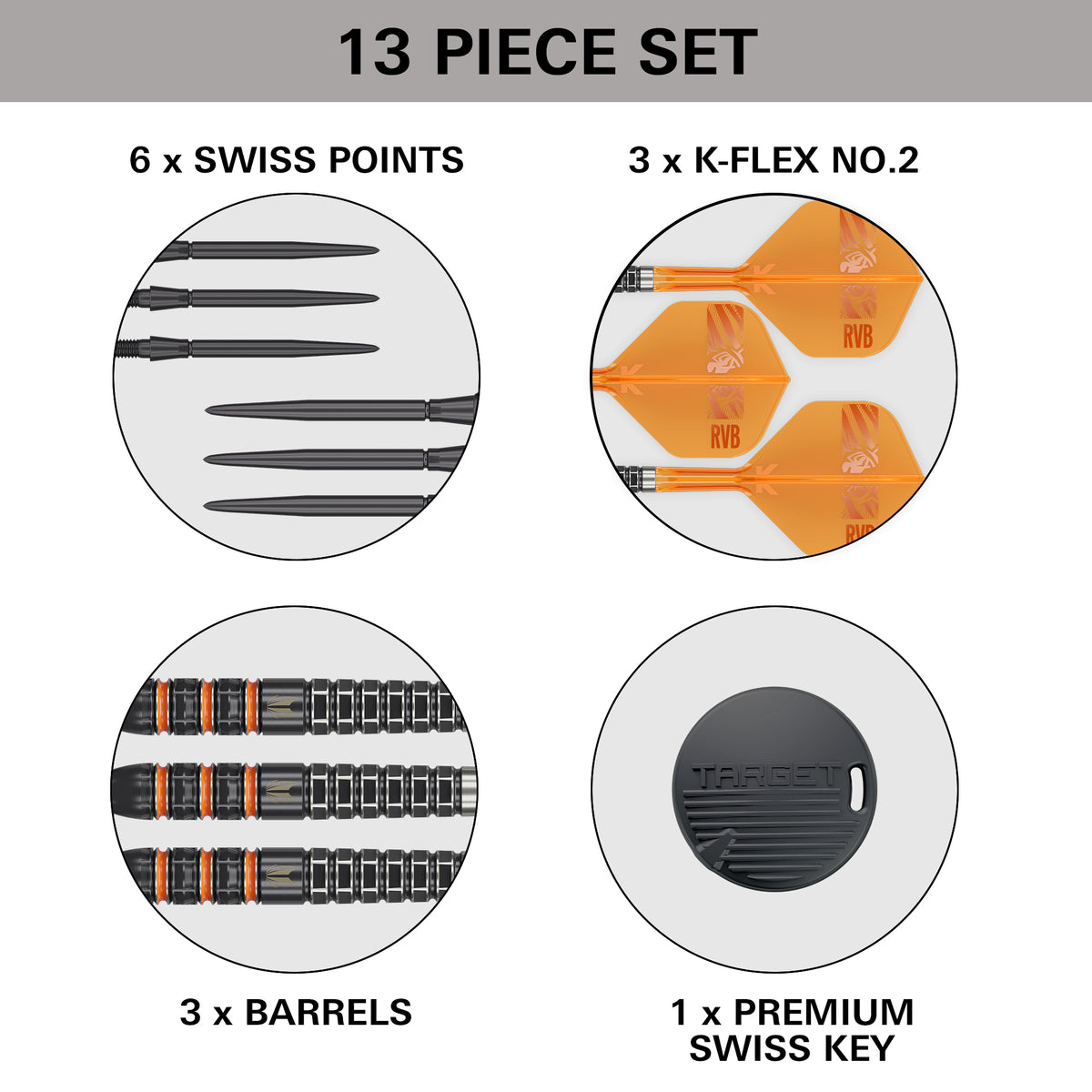 RAYMOND VAN BARNEVELD 95K SP STEEL TIP DARTS