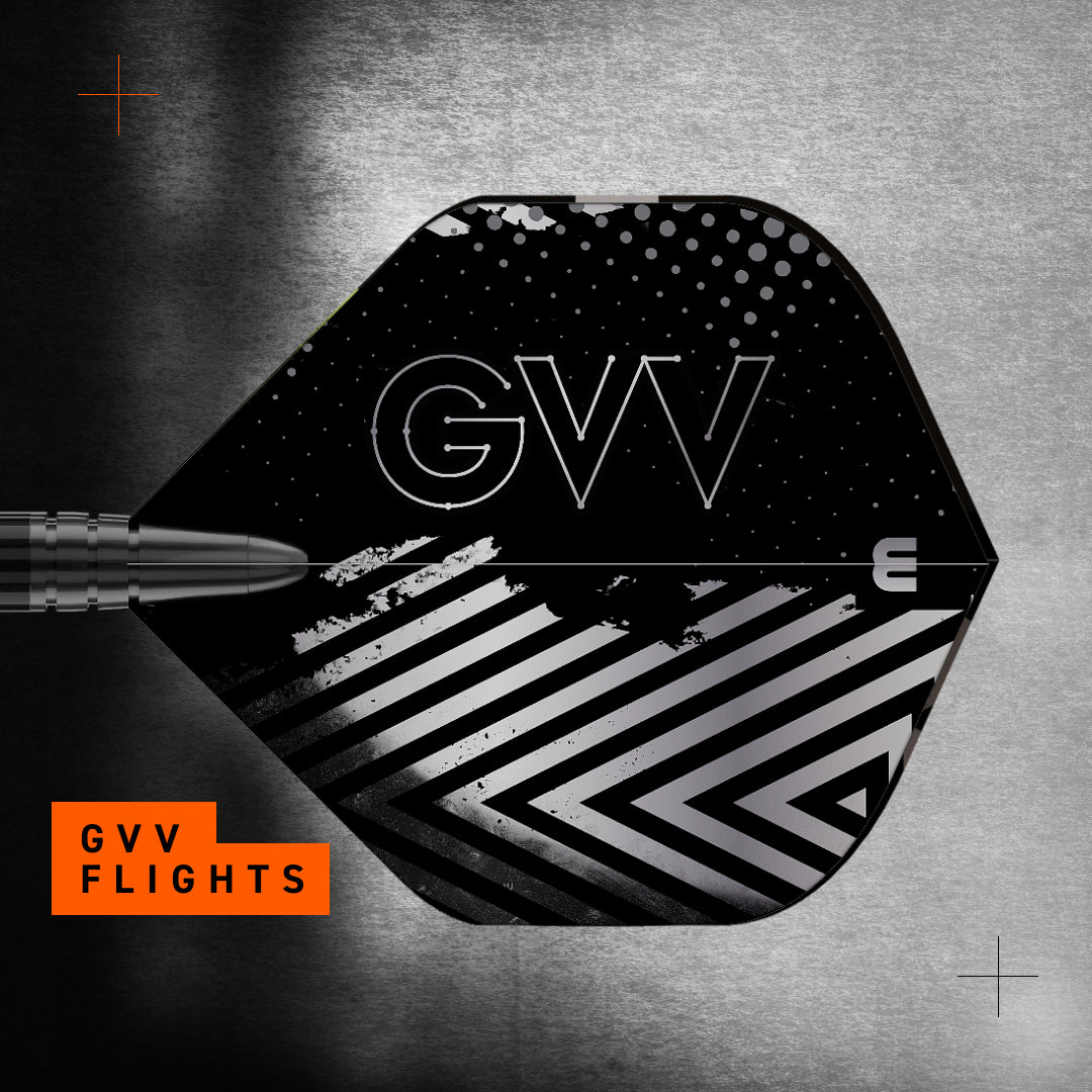 Gian Van Veen TS 90% Switch Point Darts