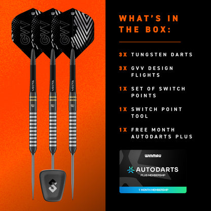 Gian Van Veen TS 90% Switch Point Darts