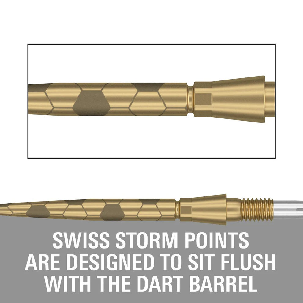 Target Swiss Storm Onyx Points